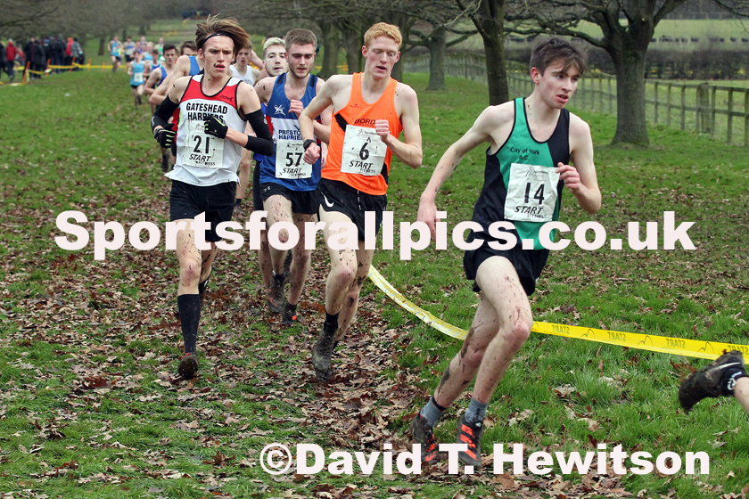 Junior mens Northern Cross Country Champs., Camp Hill Estate, Kirklington.  Photo: David T. Hewitson/Sports for All Pics